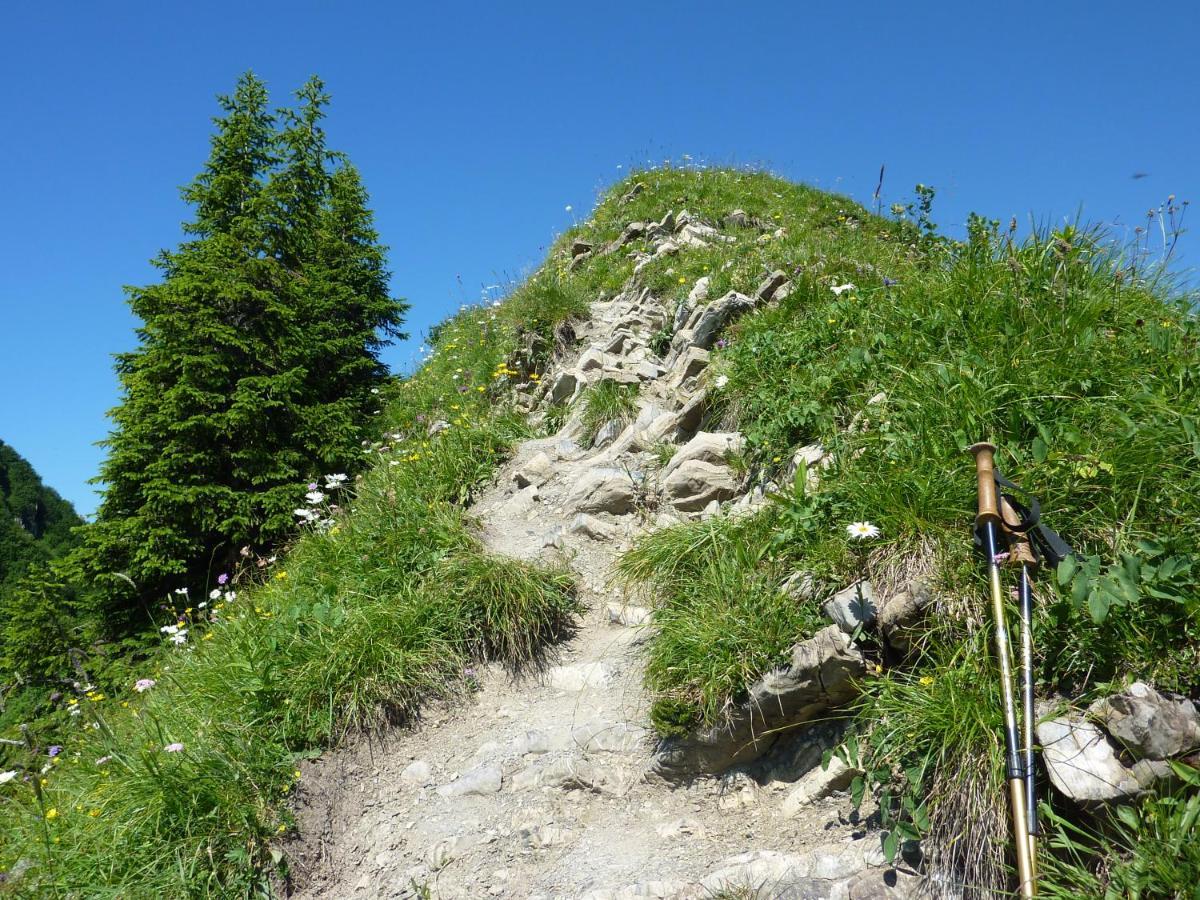 Gaestehaus Alpina Riezlern Luaran gambar